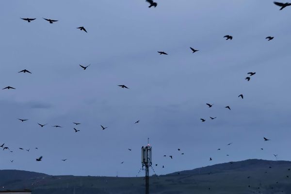 Hideg, fagyos éjszakák és reggelek jönnek