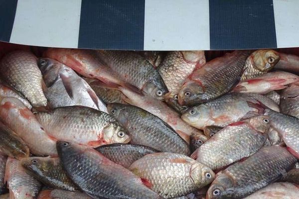 Megmentettek az ételmérgezéstől