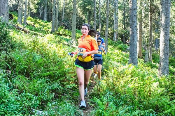 Egy év kihagyás után újra futhatsz a Hargitán