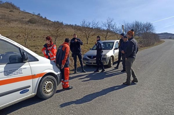 Nem sikerült meglőni a kissolymosi medvét