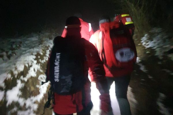 Medve ölhette meg a gyergyói férfit