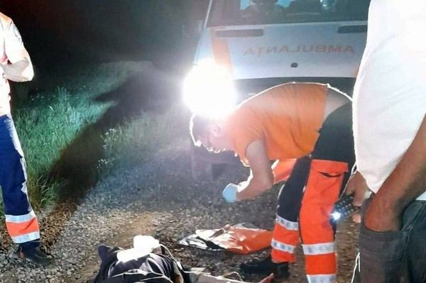 Emberre támadt a medve Zetelakán