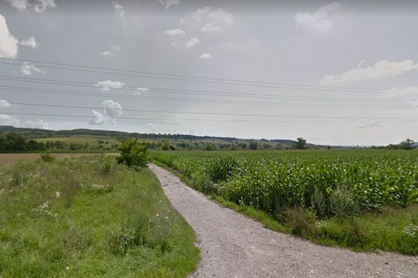 Öngyilkos lehetett a tóba fulladt fiatal (javítva)