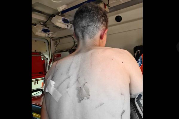 A medve karmai közül menekült meg egy legény Patakfalván