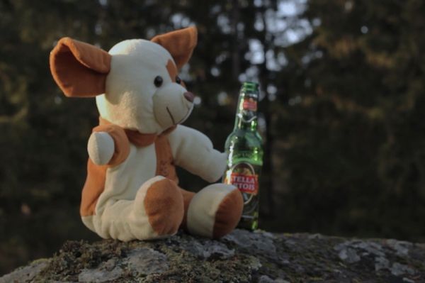 A széttépett kutya mehet a wellnessbe