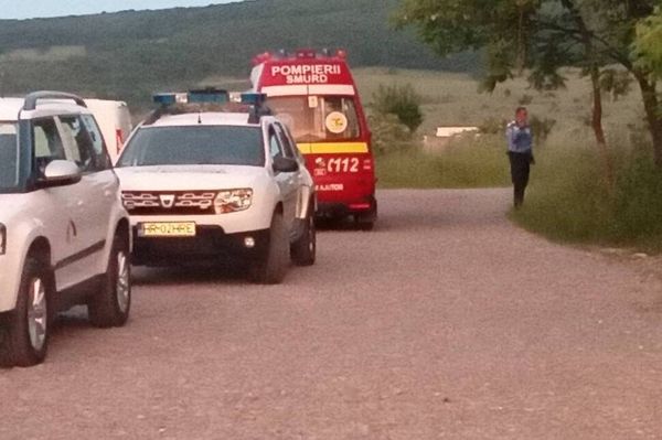 Medve garázdálkodik a Csereháton