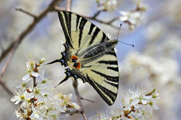 Gyere a múzeum elé a Föld napján!
