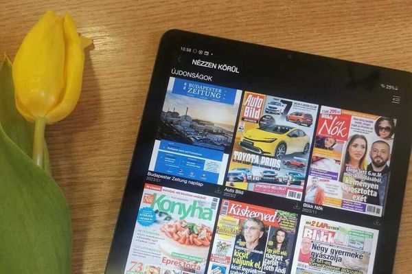A könyvtárban a lapkiadás Netflixe