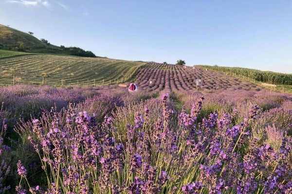 Kertem, kertem: barátkozhatsz fűvel-fával!