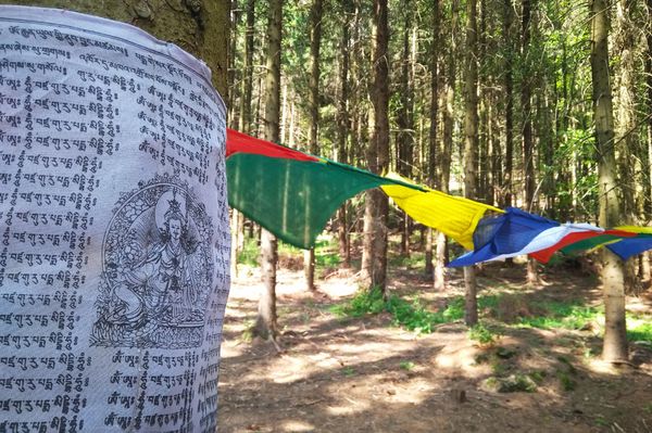 Székely buddhisták márpedig vannak