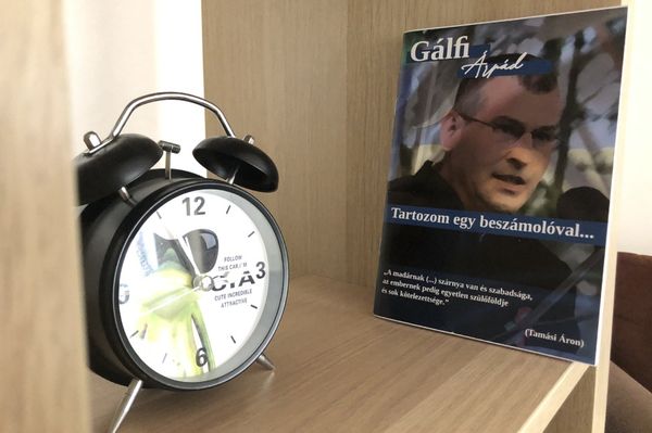 Gálfi monnyon le?