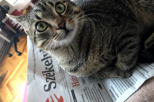 Nem lapoznak, ez a Médiatér pont nulla