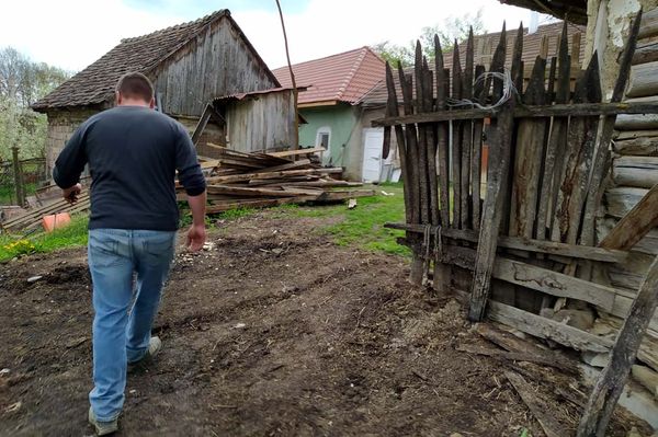 Medve pusztított Farcádban