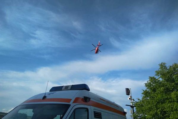 Udvarhelyen riogatott, Pálfalván támadt a medve