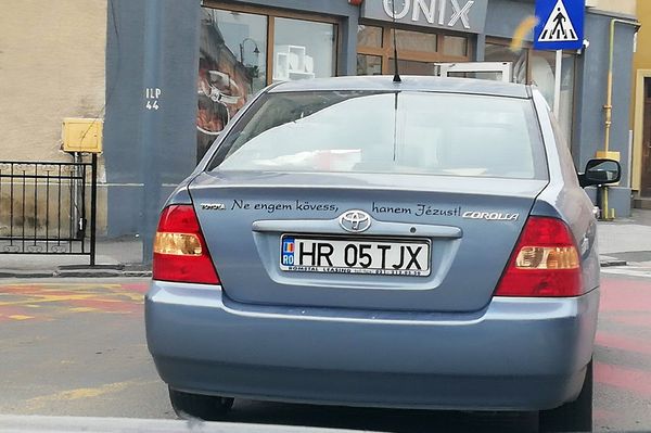A nap dilemmája: akkor most mehetek utána vagy sem?