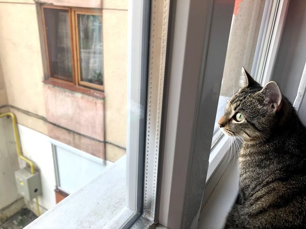 Május 16-tól szabadulunk a szobafogságtól