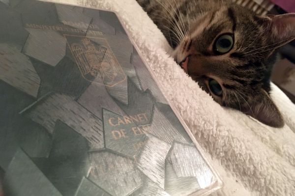 Nem számít a középiskolai felvételinél az 5-8. osztályos átlag