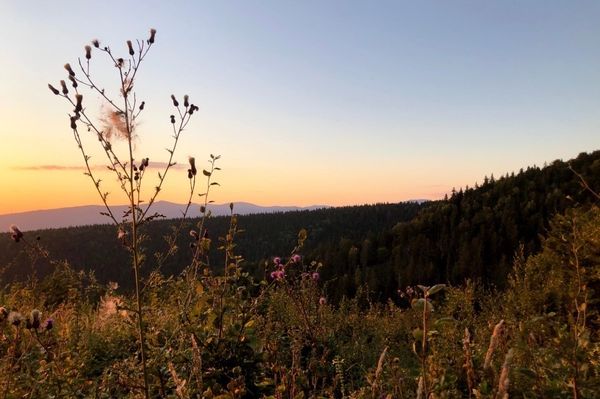 Most örülünk igazán a vénasszonyoknak