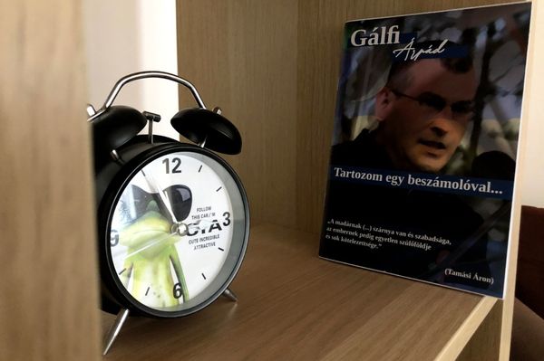 Hogy a következő két év is ne menjen el a levesbe