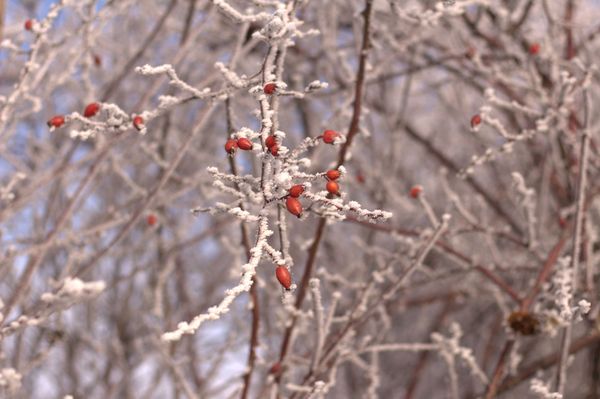Marad a jég és a köd