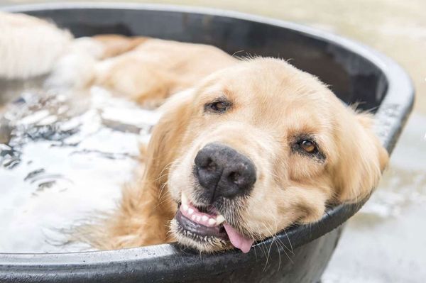 Még egy kis kánikula, aztán jön az ősz