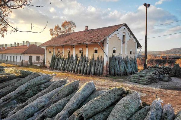 Kisült már a malacka, és kolbász van a padláson