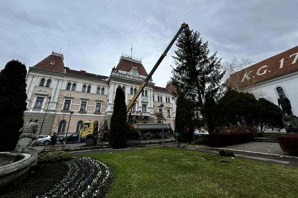 Megérkezett és már áll a karácsonyfa