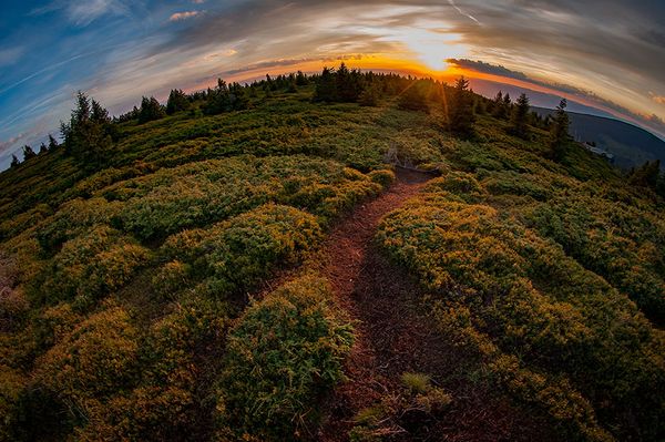 Eladtuk az erdélyi magyarságunk?