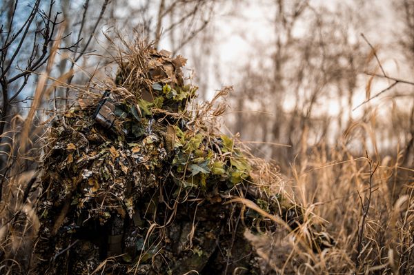 Lőttek a csütörtöki sétának a Kerekerdőn