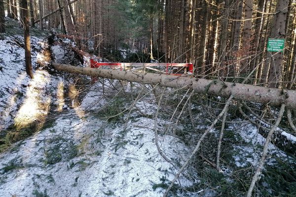 Elmarad az EKE teljesítménytúrája