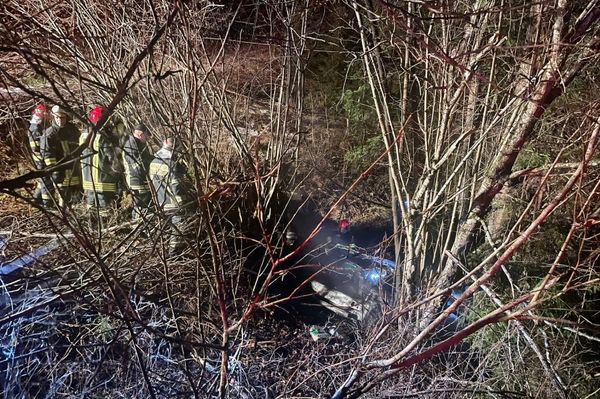Fának ütközött és leégett egy kocsi Szentegyházánál
