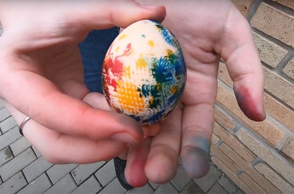 Tippek, milyen tojással várd a locsolóidat (videó)