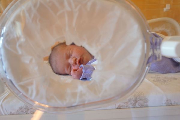 A kis hősöket ünnepeljük