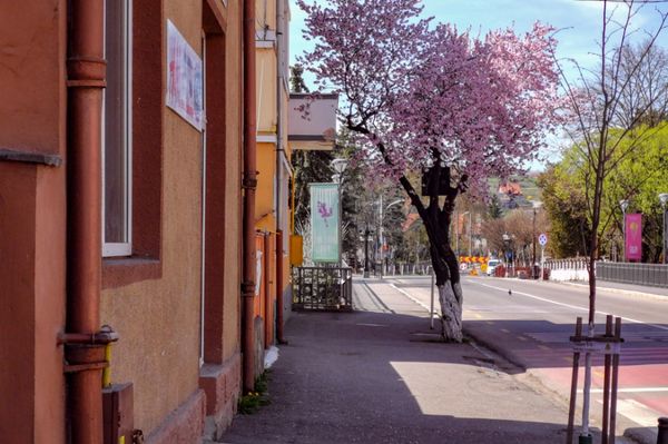 Mikor lesz fagy Erdélyben?