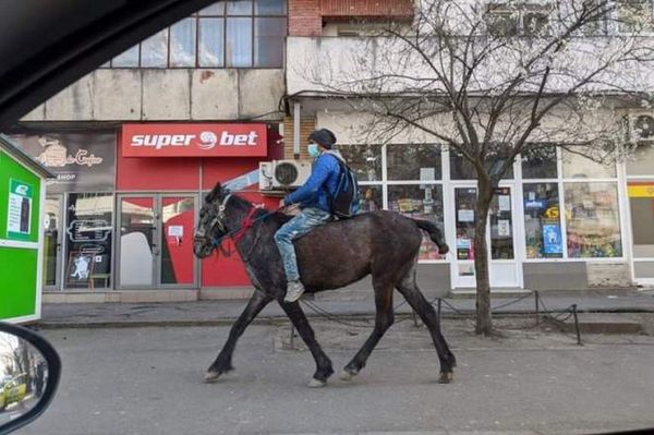 Lóháton ment a szülészetre