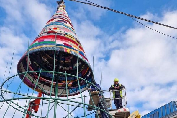 Kötöttek a városnak egy fát, s a város beléjük kötött