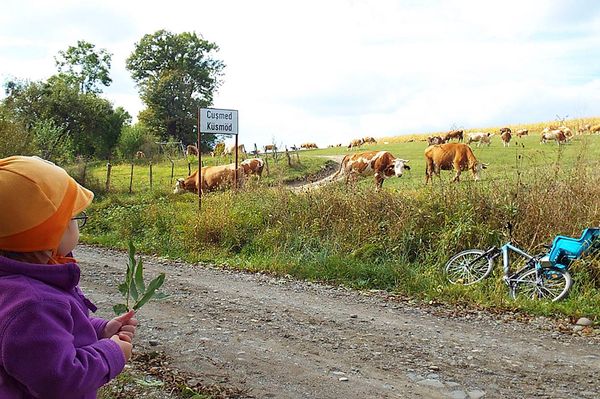 Siklódig aszfalton, és még azon is túl