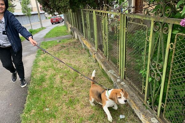 Te mit iszol? És a kutyád?