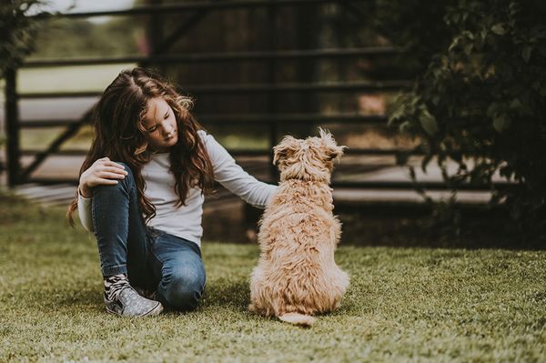 Hová kerüljön váláskor a kutya?