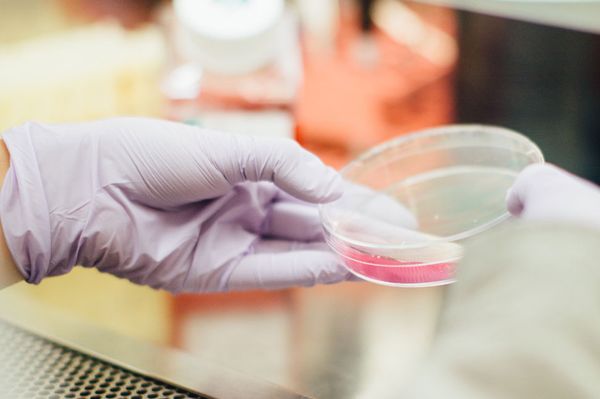 Majdnem 2000 fertőzött van az országban