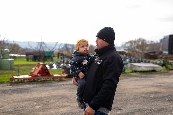 Kössél nyakkendőt a marháid nyakára!