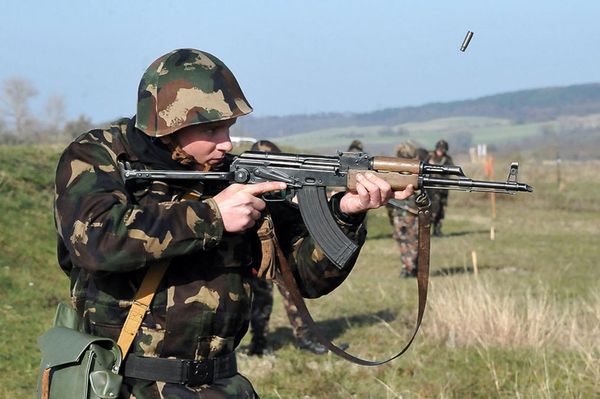 Elfoglalják a Kerekerdőt