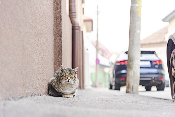 Hideg estéink lesznek a hét elején