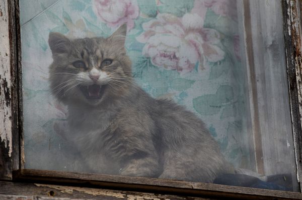 Nekünk tömegbelövés kell