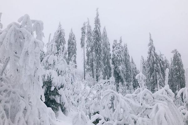Veszélyes a Madarasi-Hargitára vezető út