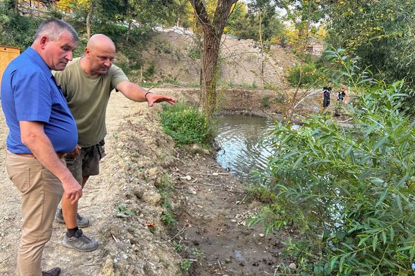 Halálkomolyan indul a választásokon Matyó