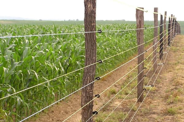 Ellopta a villanypásztort, eladni már nem tudta