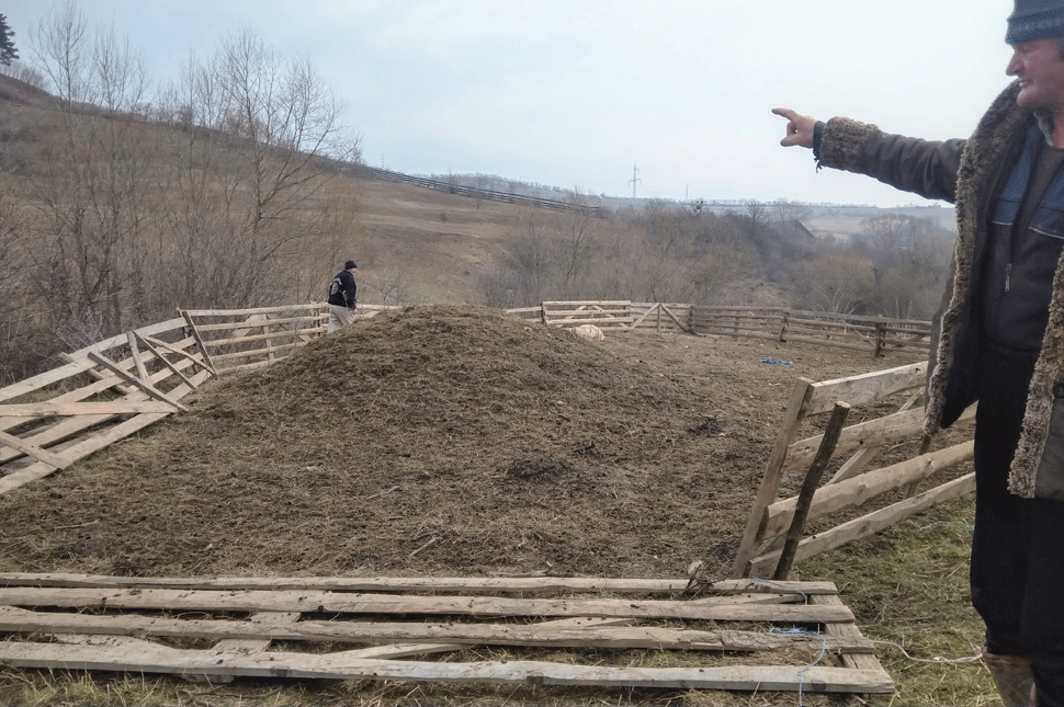 Tervezet: külterületen is védenék az embert a medvétől