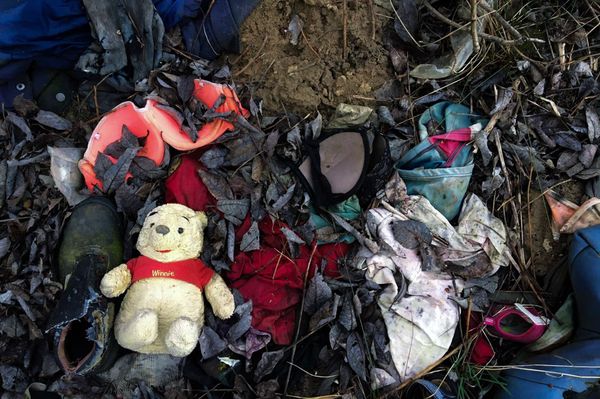 Kidobta Micimackót, 4.000 lejes bírságot kap érte