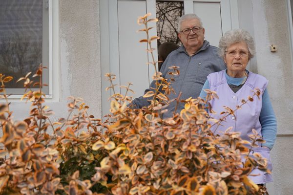 Tanító néni, ha gödörbe esne, én kihúznám!